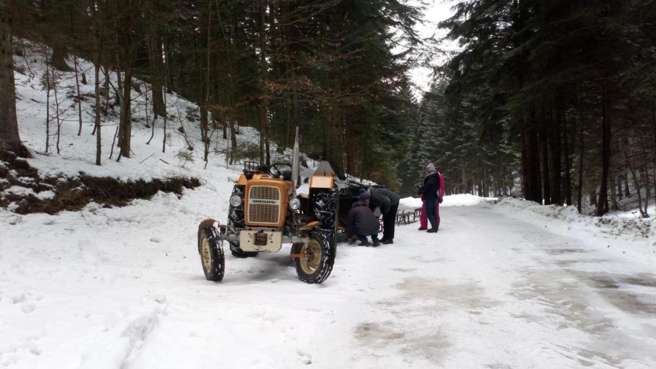 Agroturystyka Elzbieta I Juliusz Muszyna Esterno foto